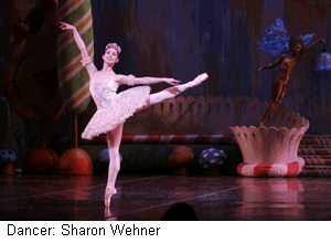 Sharon-Wehner2